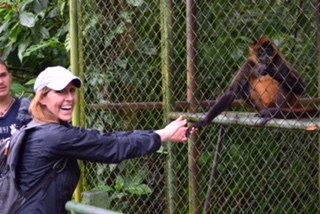 Holding a monkey's hand.