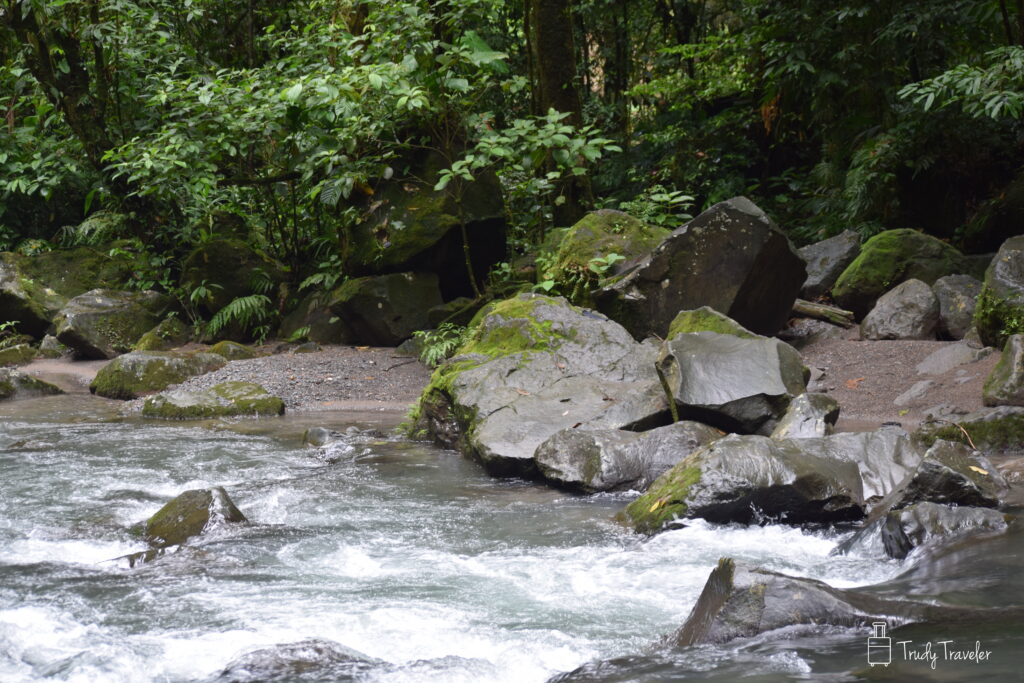 River surrounded by wet rocks and trees