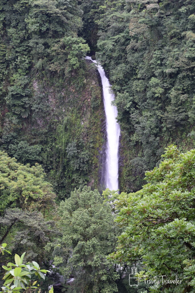 Waterfall surrounded by green trees