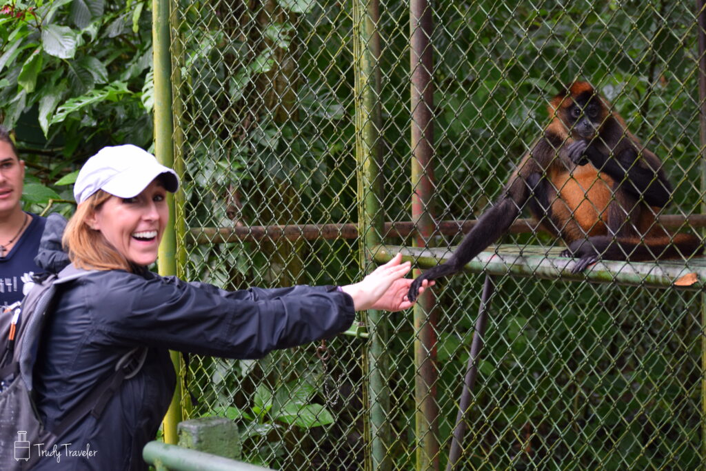 Person holding the hand of a monkey at Proyecto Assis in Costa Rica