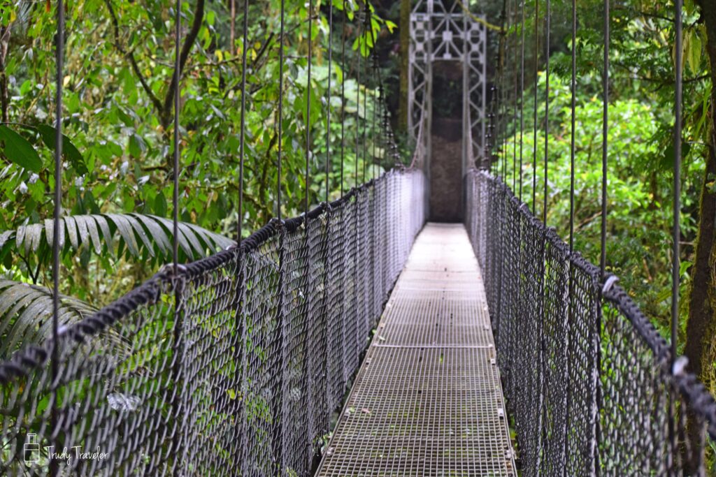 hanging bridge