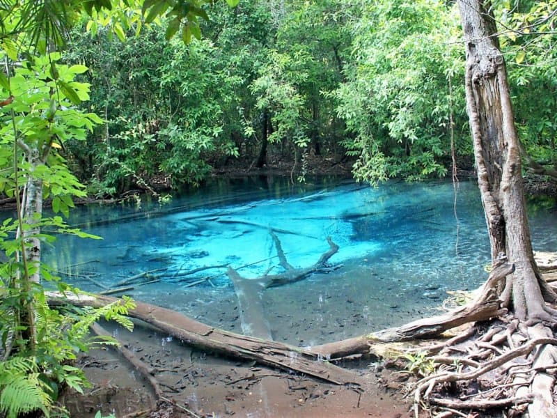 Emerald Pool, Krabi Thailand