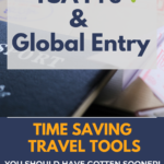 TSA PreCheck and Global Entry: Time sAving Travel Tools PLANE landing at sunset