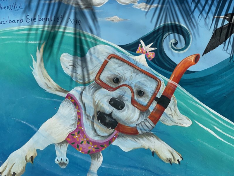 Street Art Isla Mujeres