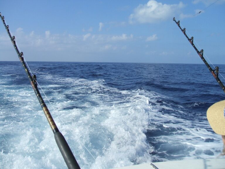 20 Amazing Things to Do in Cabo San Lucas; :Sport Fishing off back of boat