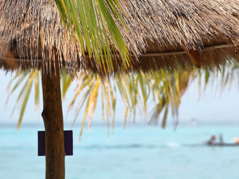 palapa grass hut on a beach with turquoise water