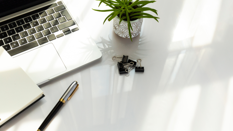 computer and plant on white desk