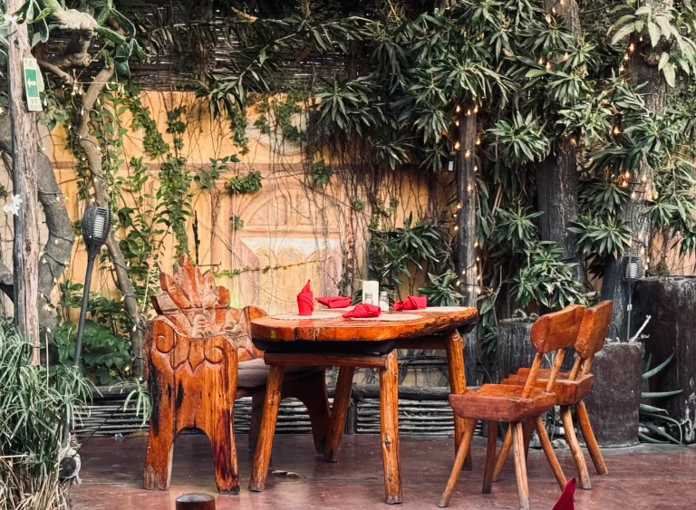 BEST CABO RESTAURANTS: TABLE AND CHAIRS IN A GARDEN SETTING