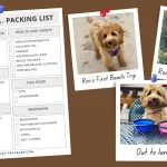 Pupcation Dog packing checklist